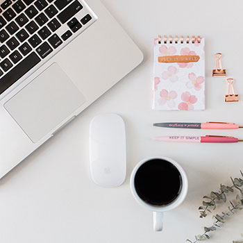 我该选择哪种强引蜘蛛程序效果好